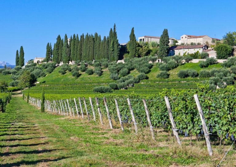 valpolicella